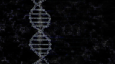 Popular genealogy sites to find ancestry records